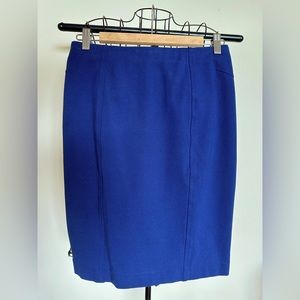 Ann Taylor Blue Pencil Skirt